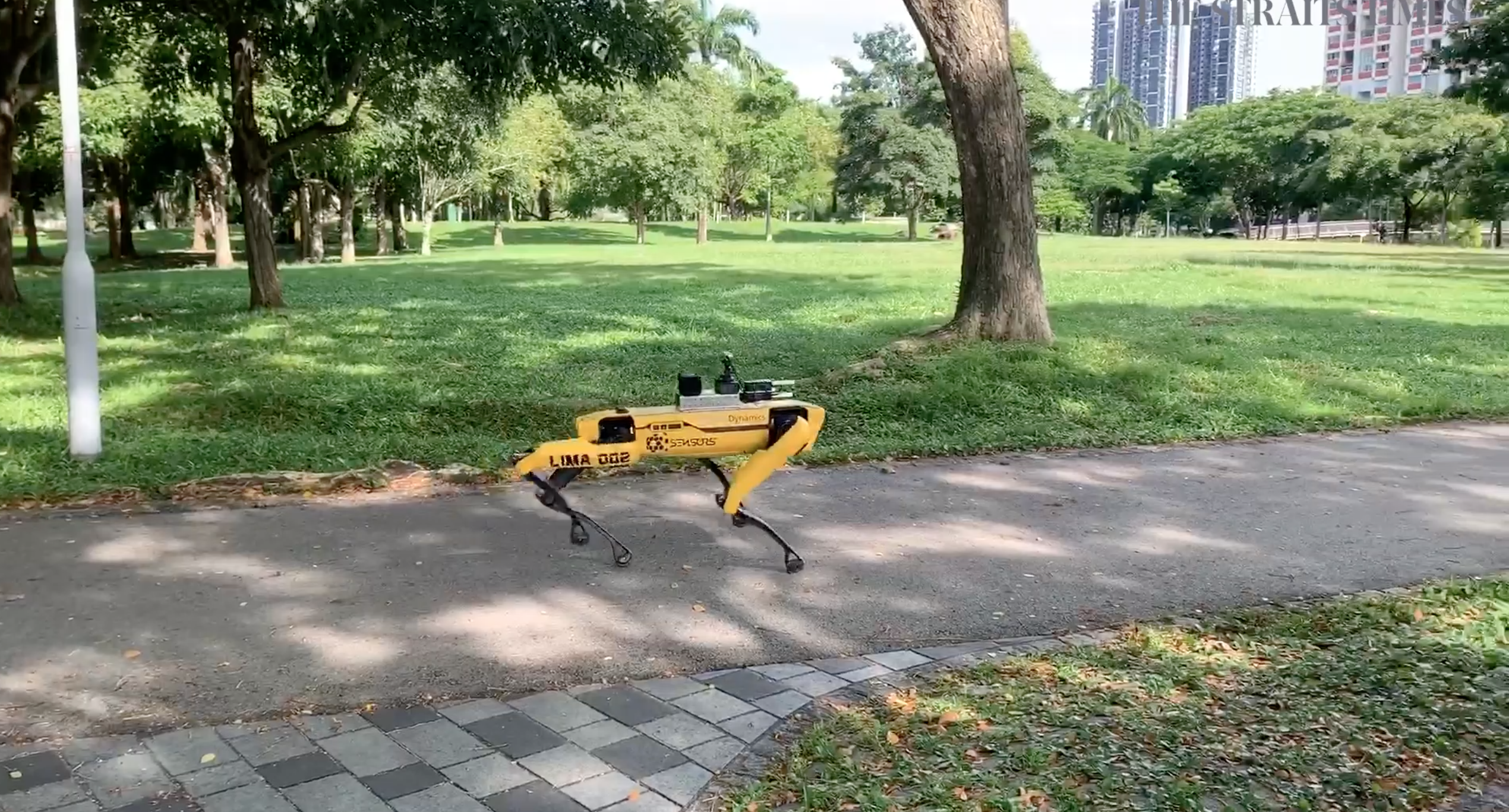 Singapore’s robot dog reminds citizens about social distancing Lonely